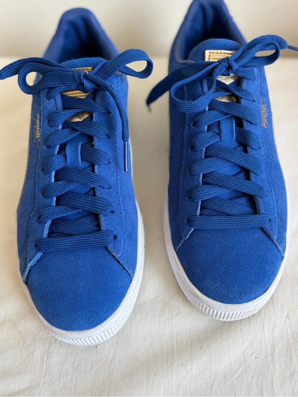 PUMA Suede Classic Pastime Surf The Web Blue Suede Low Top Blue/White 387060-02